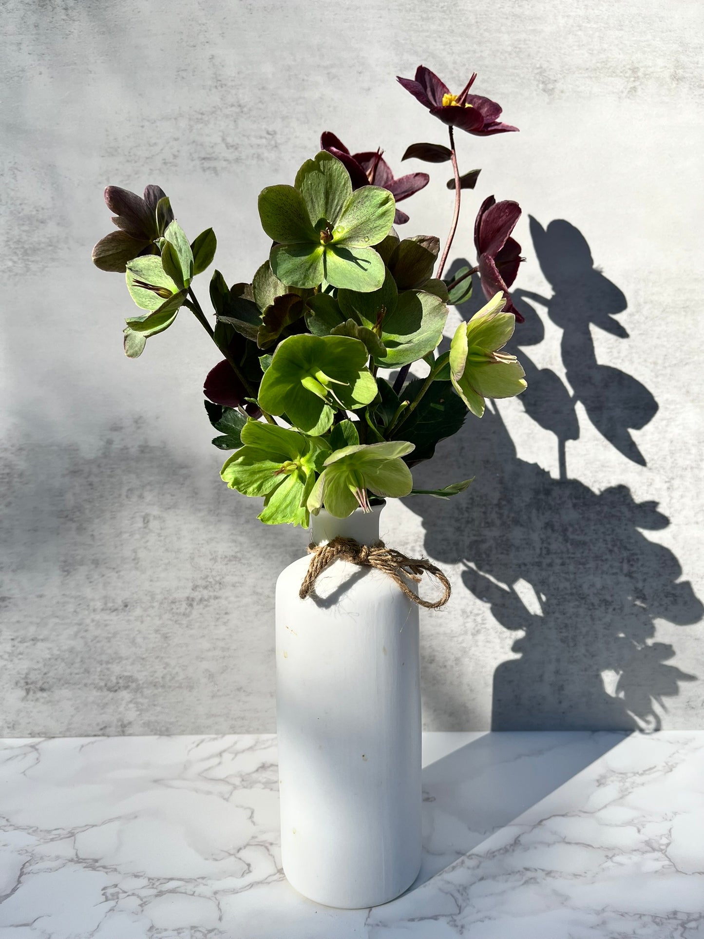 Hellebore Cut Flowers (Out of Season)