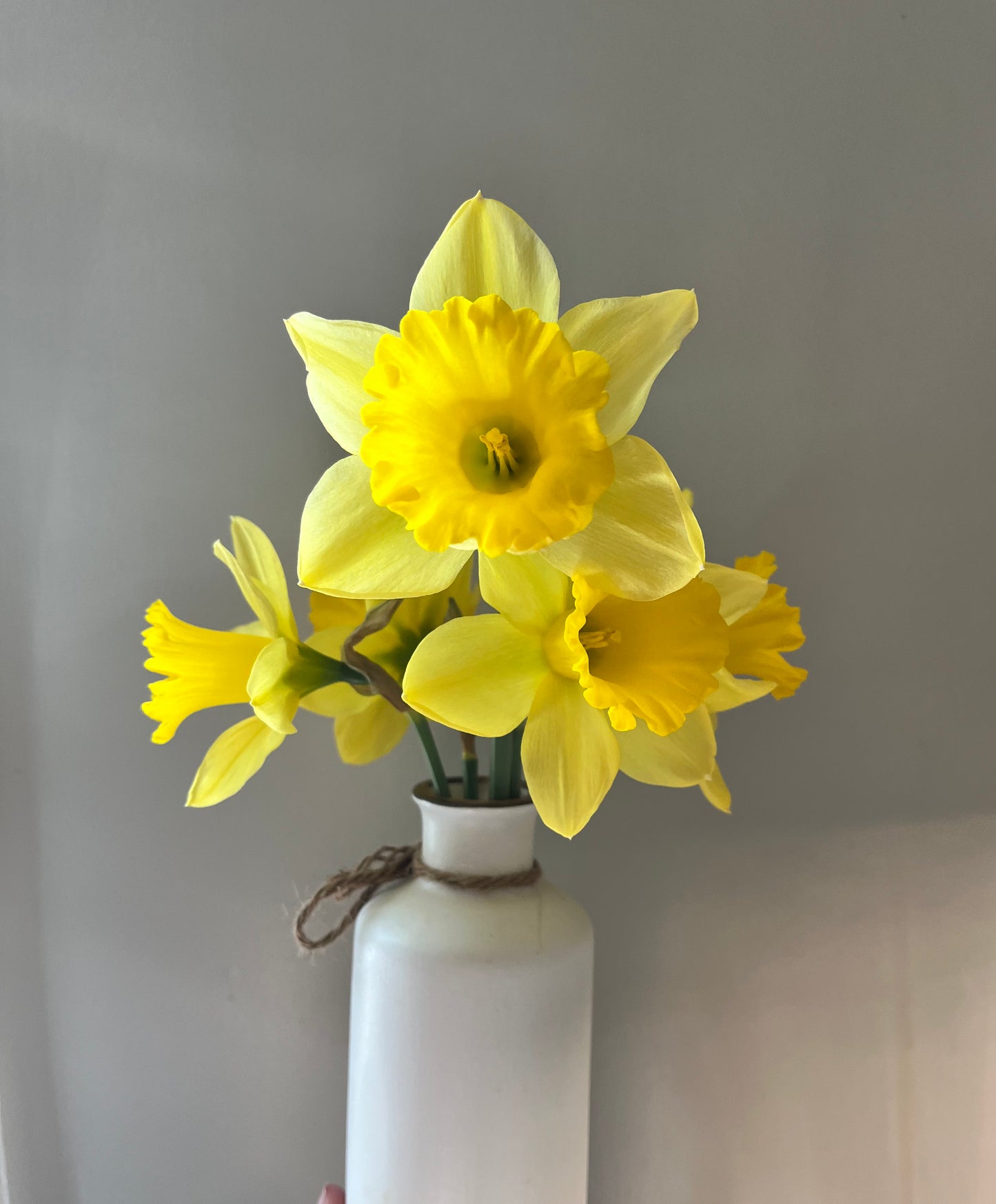 Seasonal Cut Flowers (Out of Season)