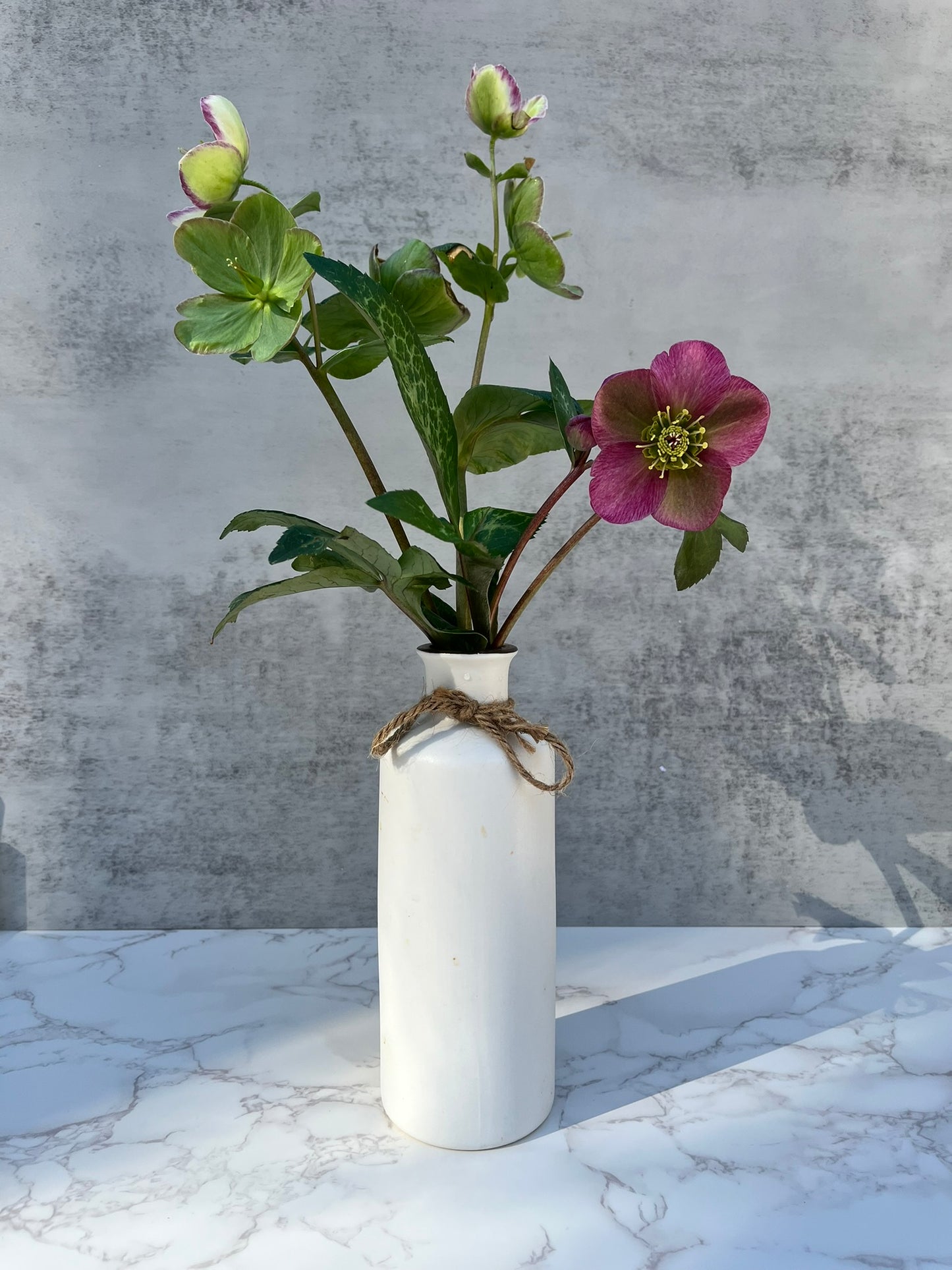 Hellebore Cut Flowers (Out of Season)