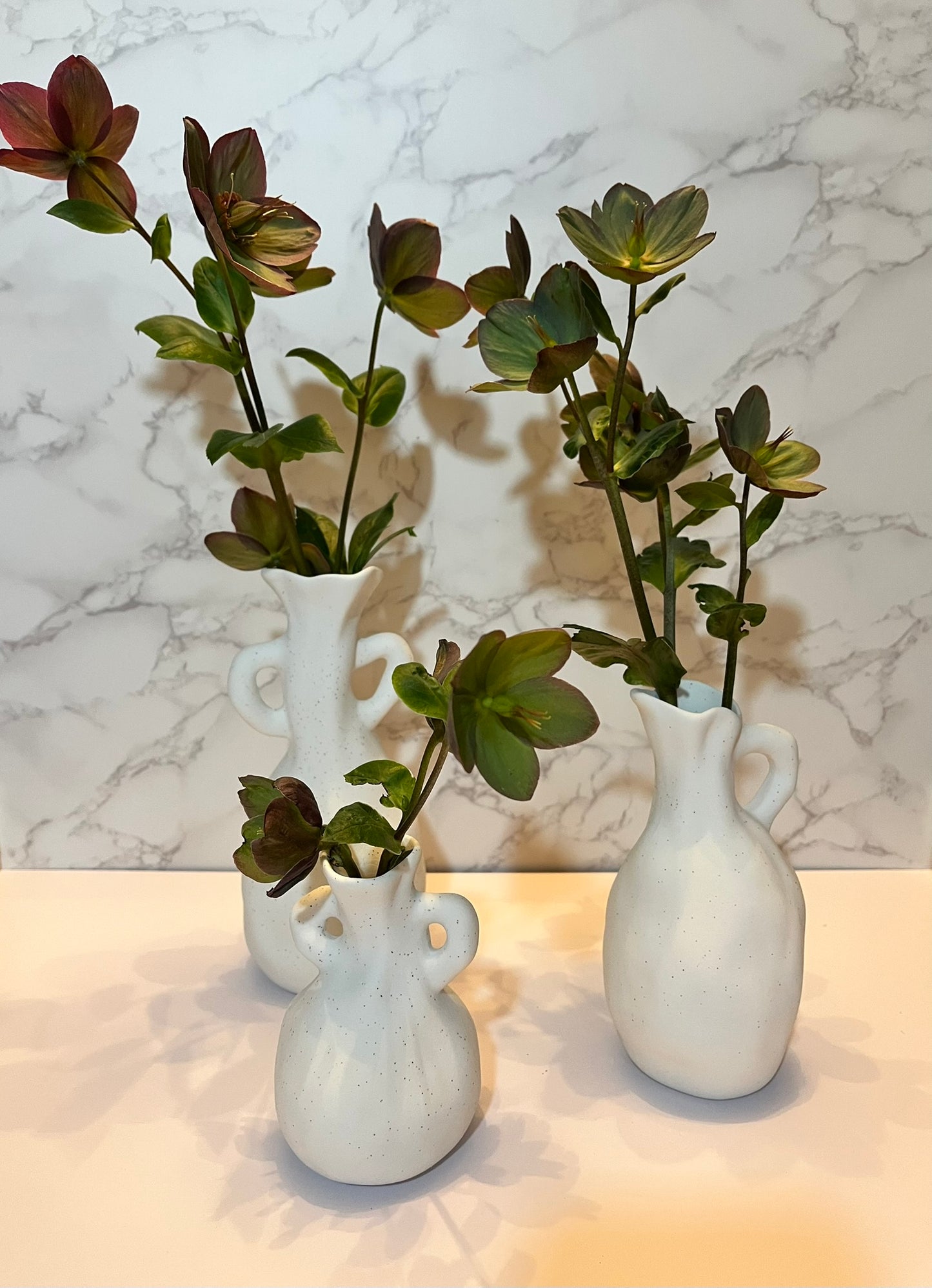 Hellebore Cut Flowers (Out of Season)