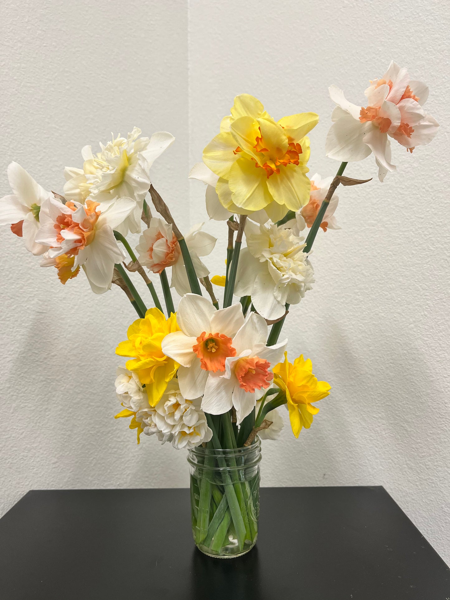 Seasonal Cut Flowers (Out of Season)